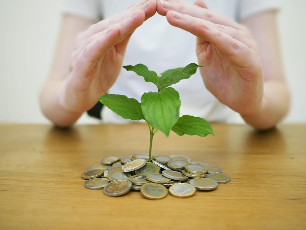 Petite pousse d'arbre plantée dans un tas de pièces de monnaie et protégée par des mains en forme de toit de maison
