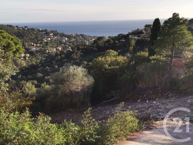 Afficher la photo en grand terrain à vendre - 1913.0 m2 - ROQUEBRUNE SUR ARGENS - 83 - PROVENCE-ALPES-COTE-D-AZUR - Century 21 Martinot Immobilier