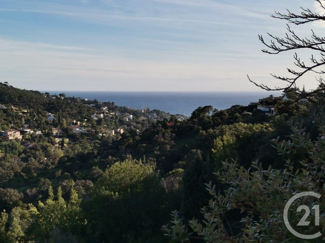 Afficher la photo en grand terrain à vendre - 1913.0 m2 - ROQUEBRUNE SUR ARGENS - 83 - PROVENCE-ALPES-COTE-D-AZUR - Century 21 Martinot Immobilier