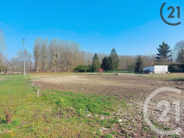 Afficher la photo en grand terrain à vendre - 1300.0 m2 - PLIVOT - 51 - CHAMPAGNE-ARDENNE - Century 21 Martinot Immobilier