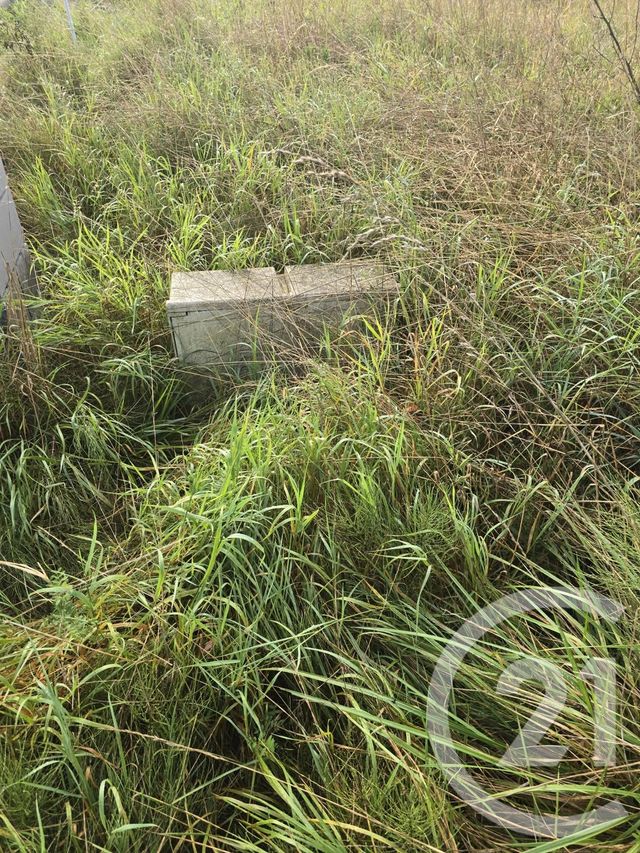 terrain à vendre - 1017.0 m2 - POSSESSE - 51 - CHAMPAGNE-ARDENNE - Century 21 Martinot Immobilier