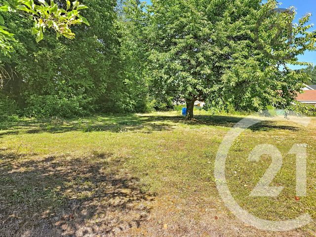 terrain à vendre - 1991.0 m2 - BAZANCOURT - 51 - CHAMPAGNE-ARDENNE - Century 21 Martinot Immobilier